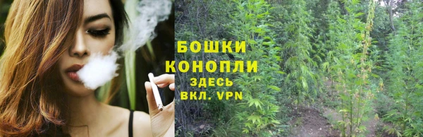 Альфа ПВП Магас