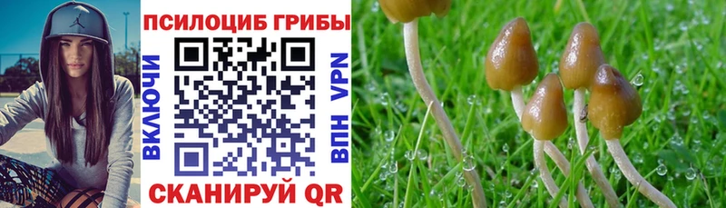 Галлюциногенные грибы прущие грибы  Железноводск 