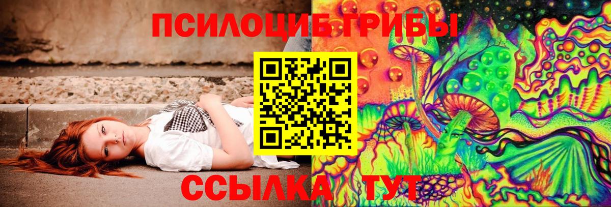 Псилоцибиновые грибы GOLDEN TEACHER Железноводск