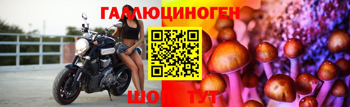 APVP Железноводск